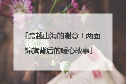 跨越山海的谢意！两面锦旗背后的暖心故事
