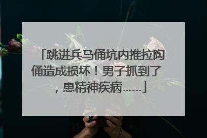 跳进兵马俑坑内推拉陶俑造成损坏！男子抓到了，患精神疾病……