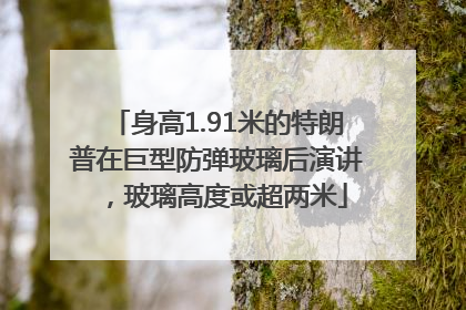 身高1.91米的特朗普在巨型防弹玻璃后演讲，玻璃高度或超两米