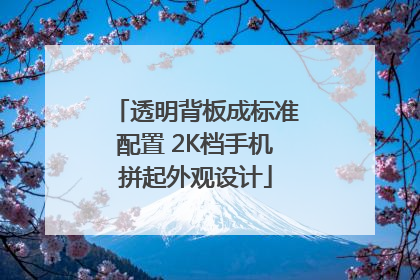 透明背板成标准配置 2K档手机拼起外观设计