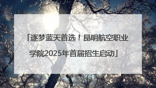 逐梦蓝天首选！昆明航空职业学院2025年首届招生启动