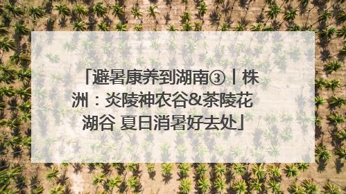 避暑康养到湖南③丨株洲：炎陵神农谷&茶陵花湖谷 夏日消暑好去处