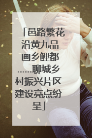 邑路繁花 沿黄九品 画乡鲤都……聊城乡村振兴片区建设亮点纷呈