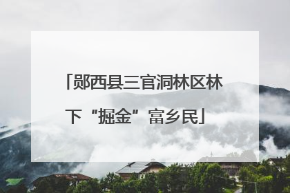 郧西县三官洞林区林下“掘金”富乡民
