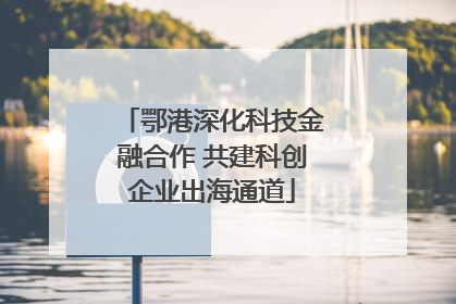 鄂港深化科技金融合作 共建科创企业出海通道