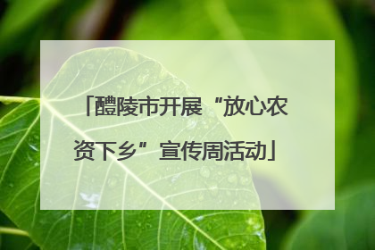 醴陵市开展“放心农资下乡”宣传周活动