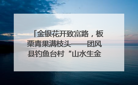 金银花开致富路，板栗青果满枝头——团风县钓鱼台村“山水生金”谱写共富新篇章