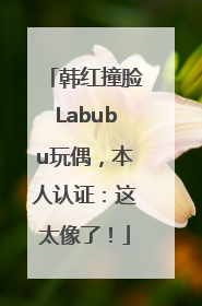 韩红撞脸Labubu玩偶，本人认证：这太像了！