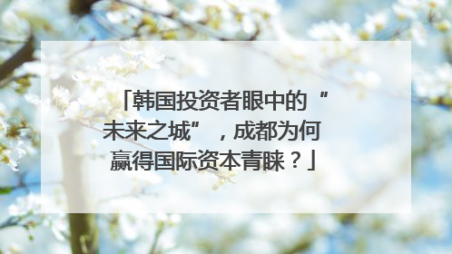 韩国投资者眼中的“未来之城”，成都为何赢得国际资本青睐？