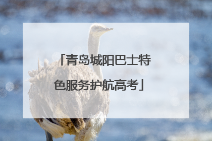 青岛城阳巴士特色服务护航高考