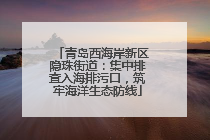 青岛西海岸新区隐珠街道：集中排查入海排污口，筑牢海洋生态防线