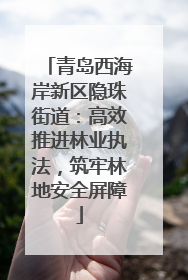 青岛西海岸新区隐珠街道：高效推进林业执法，筑牢林地安全屏障