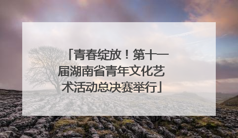 青春绽放！第十一届湖南省青年文化艺术活动总决赛举行