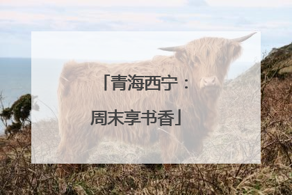 青海西宁：周末享书香