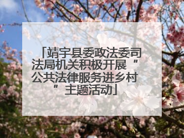 靖宇县委政法委司法局机关积极开展“公共法律服务进乡村”主题活动