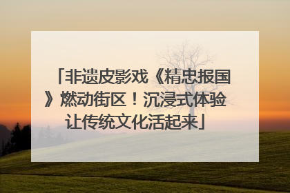 非遗皮影戏《精忠报国》燃动街区！沉浸式体验让传统文化活起来