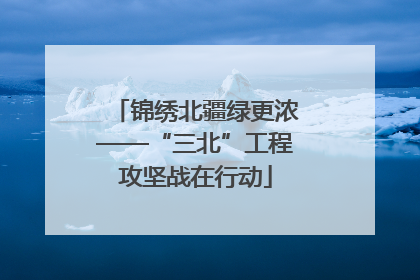 锦绣北疆绿更浓——“三北”工程攻坚战在行动