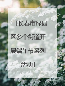 长春市绿园区多个街道开展端午节系列活动
