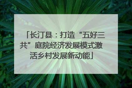 长汀县：打造“五好三共”庭院经济发展模式激活乡村发展新动能