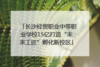 长沙经贸职业中等职业学校15亿打造“未来工匠”孵化新校区