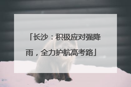 长沙：积极应对强降雨，全力护航高考路
