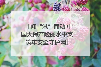 闻“汛”而动 中国太保产险丽水中支筑牢安全守护网
