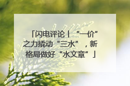 闪电评论丨“一价”之力撬动“三水”，新格局做好“水文章”
