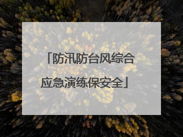 防汛防台风综合应急演练保安全