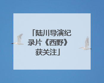 陆川导演纪录片《西野》获关注