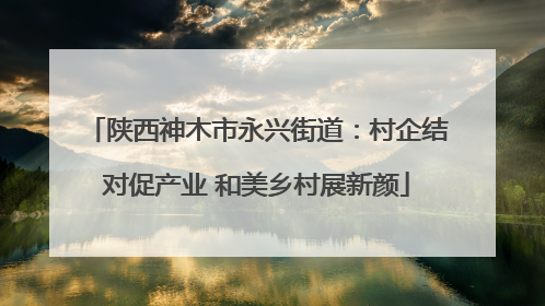 陕西神木市永兴街道：村企结对促产业 和美乡村展新颜