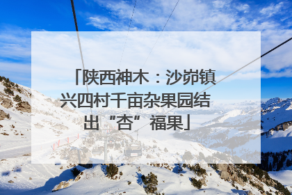陕西神木：沙峁镇兴四村千亩杂果园结出“杏”福果