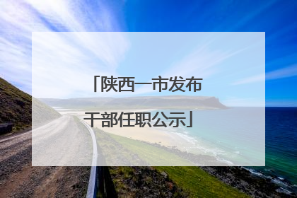 陕西一市发布干部任职公示