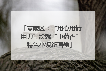 零陵区：“用心用情用力”绘就“中药香”特色小镇新画卷