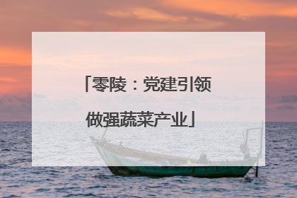 零陵：党建引领 做强蔬菜产业