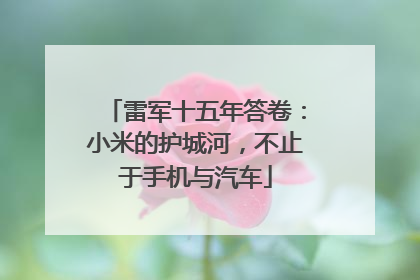 雷军十五年答卷：小米的护城河，不止于手机与汽车