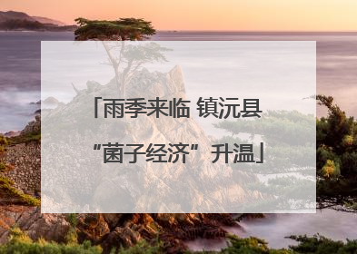 雨季来临 镇沅县“菌子经济”升温