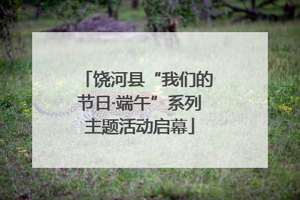 饶河县“我们的节日·端午”系列主题活动启幕