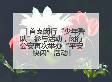 首支闵行“少年警队”参与活动，闵行公安再次举办“平安快闪”活动