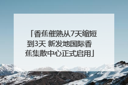 香蕉催熟从7天缩短到3天 新发地国际香蕉集散中心正式启用