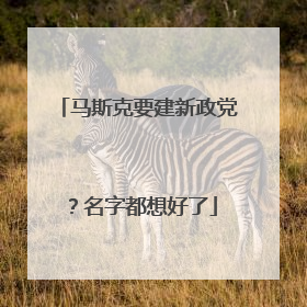 马斯克要建新政党？名字都想好了
