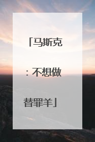 马斯克：不想做替罪羊