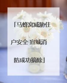 马蜂窝威胁住户安全 宣城消防成功摘除