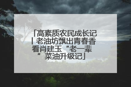 高素质农民成长记丨老油坊飘出青春香 看肖建玉“老一辈”菜油升级记