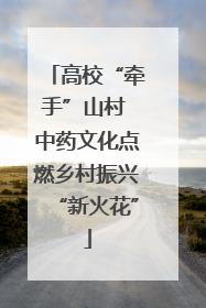 高校“牵手”山村 中药文化点燃乡村振兴“新火花”