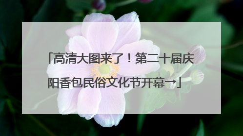 高清大图来了！第二十届庆阳香包民俗文化节开幕→