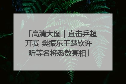 高清大图｜直击乒超开赛 樊振东王楚钦许昕等名将悉数亮相