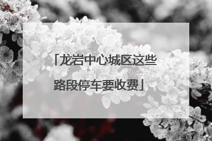 龙岩中心城区这些路段停车要收费