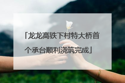龙龙高铁下村特大桥首个承台顺利浇筑完成
