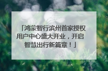 鸿蒙智行滨州首家授权用户中心盛大开业，开启智慧出行新篇章！