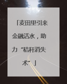 麦田里引来金融活水，助力“秸秆消失术”